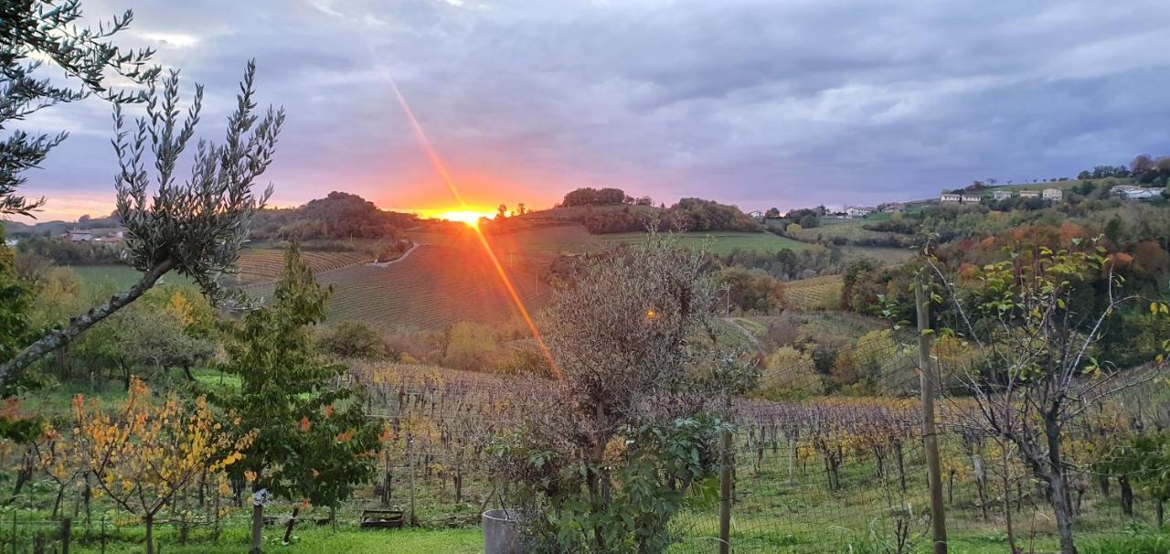 Casaroman San Floriano del Cóllio エクステリア 写真